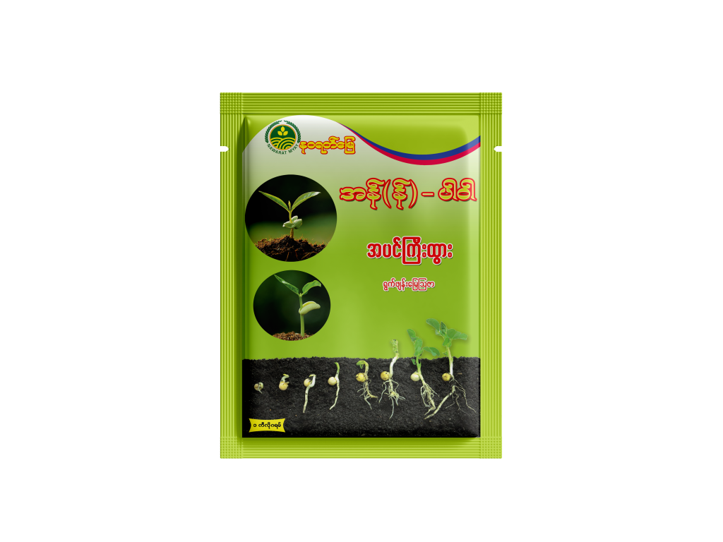 n-power-nawarat-myay-company-limited