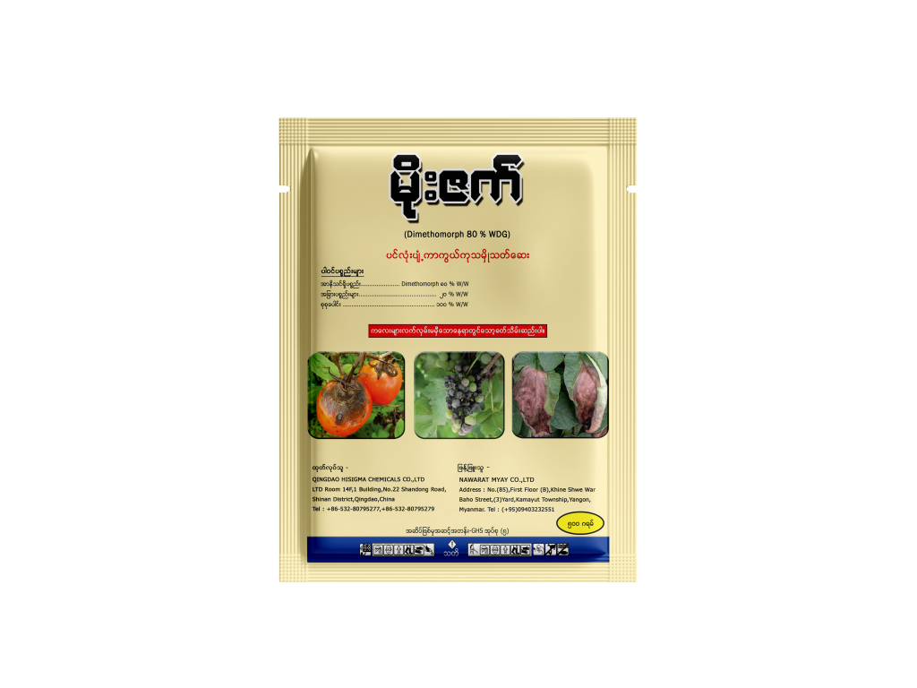 Moe Z Nawarat Myay Company Limited moe-z-nawarat-myay-company-limited